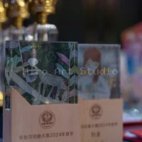 Picavin Competition 2024 | Competition & Ceremony | Miro Art Studio