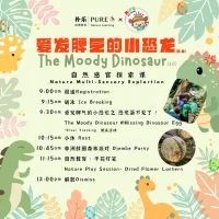 Nature Learning Day | News & Activities | Miro Art Studio