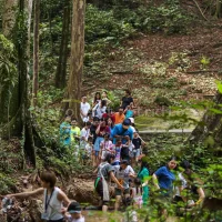 Nature Learning Day | News & Activities | Miro Art Studio