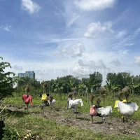 2025 MIRO Education Trip | News & Activities | Miro Art Studio
